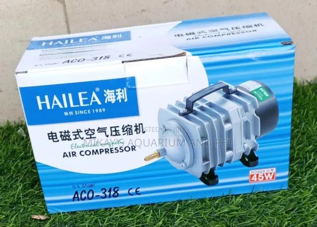 Hailea 45w Air Compressor · Photo 2