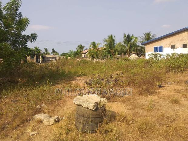 Residential Land At Okushibiade (Amasaman) · Photo 3