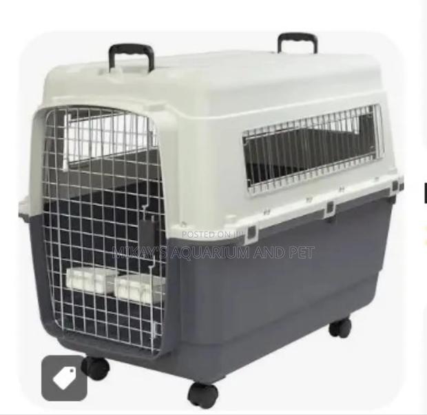 Large Plastic Dog Traveller With Wheels · Photo 2