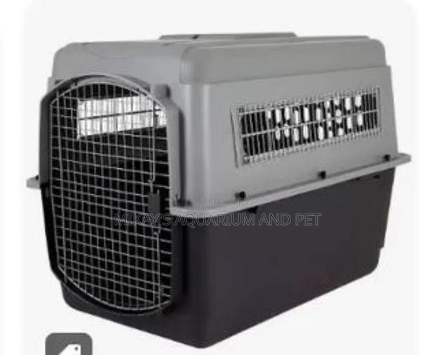 Large Plastic Dog and Cat Cage for Travelling · Photo 2