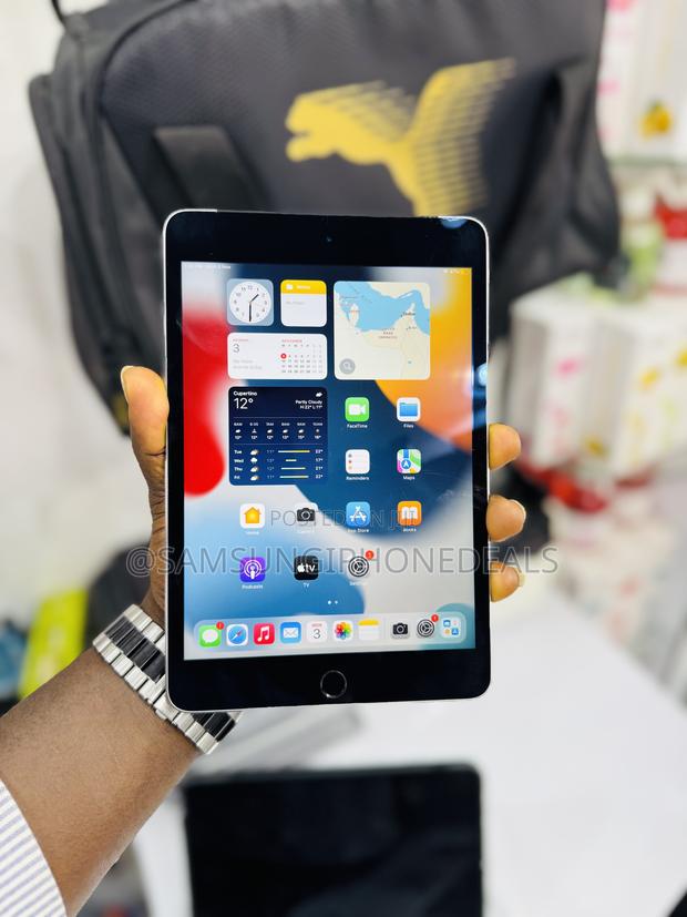 Apple iPad mini 4 128 GB Gray