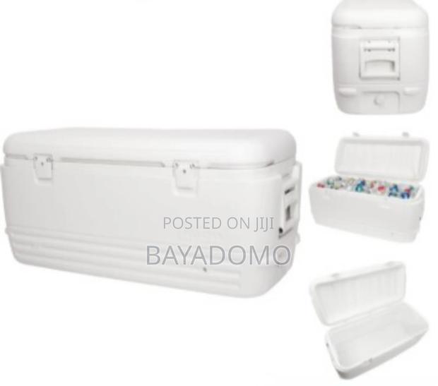 Whitey Ice Chest Igloo: Rent