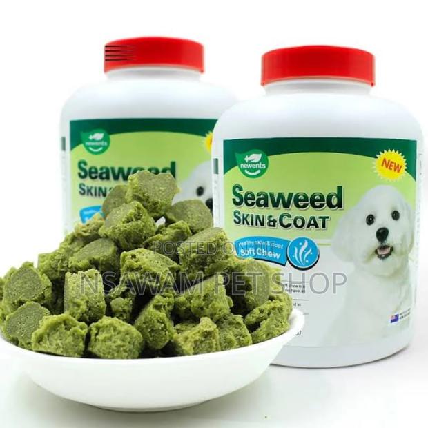 Seaweed Skin and Coat · Photo 3