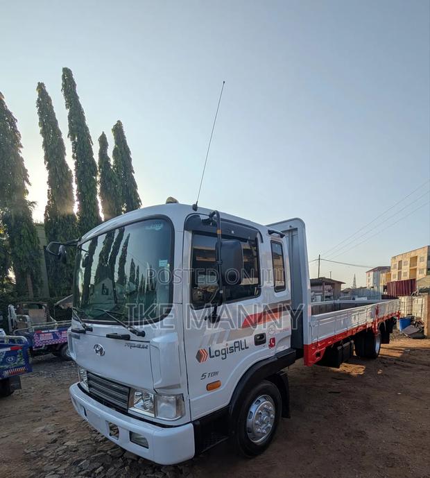 Hyundai Mega photo 10