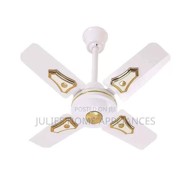24 Inches Long Lasting Qiudes Ceiling Fan