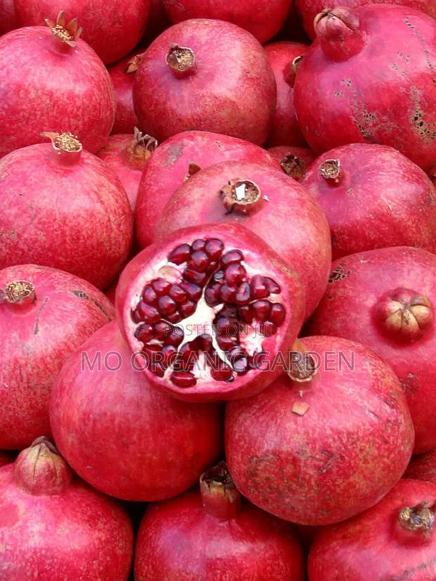 Pink Satin Pomegranate Seedlings– Sweet Red Fruit Plant for Garden photo 2