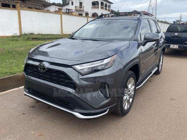 Toyota RAV4 2024 Gray