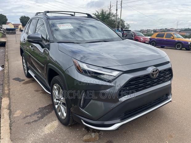 Toyota RAV4 2024 Gray