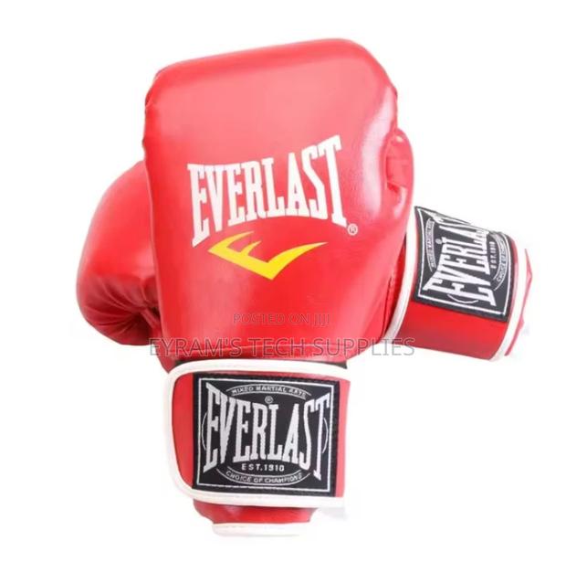 Everlast Boxing Gloves Training Fighting Professional photo 2
