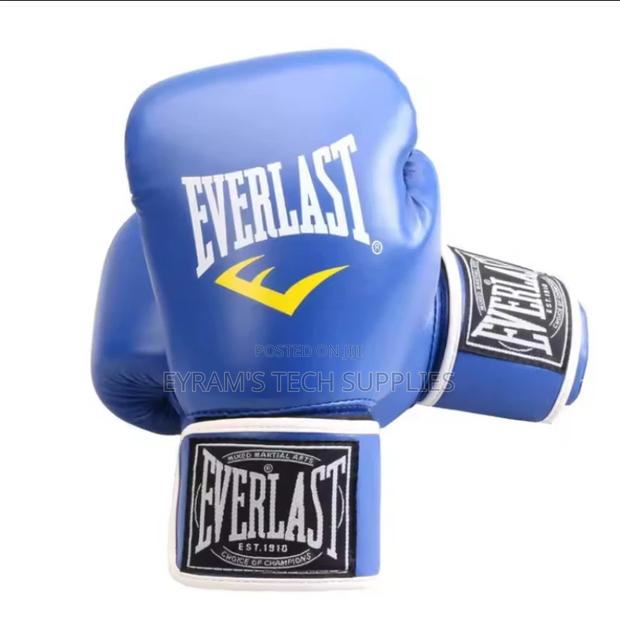 Everlast Boxing Gloves Training Fighting Professional photo 3