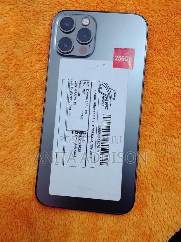 Apple iPhone 12 Pro 256 GB Gray · Photo 4