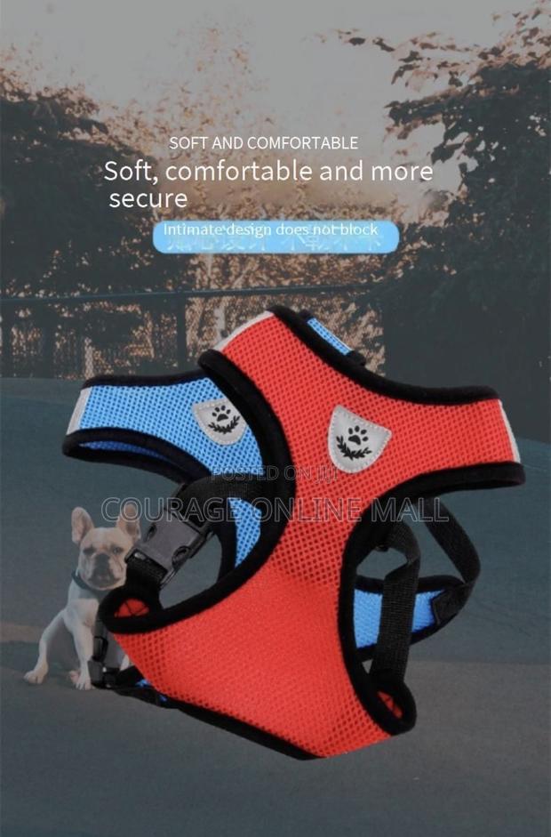 Small to Xl Dog Vest