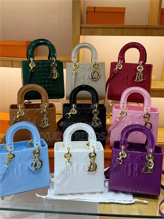 High Quality Dior-Inspired Luxury Handbag