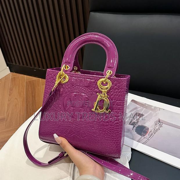 High Quality Dior-Inspired Luxury Handbag photo 2