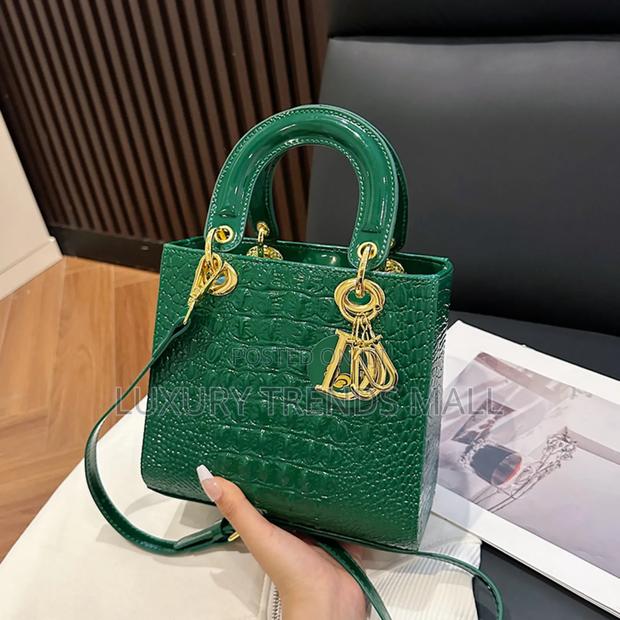 High Quality Dior-Inspired Luxury Handbag photo 3