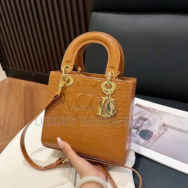 High Quality Dior-Inspired Luxury Handbag photo 4