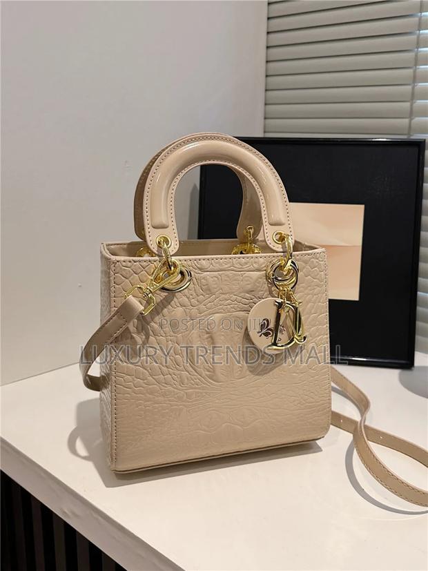 High Quality Dior-Inspired Luxury Handbag photo 5