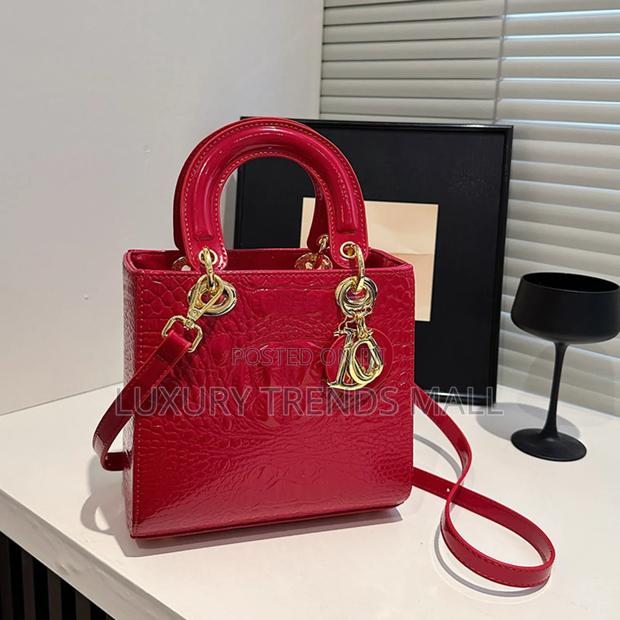 High Quality Dior-Inspired Luxury Handbag photo 7