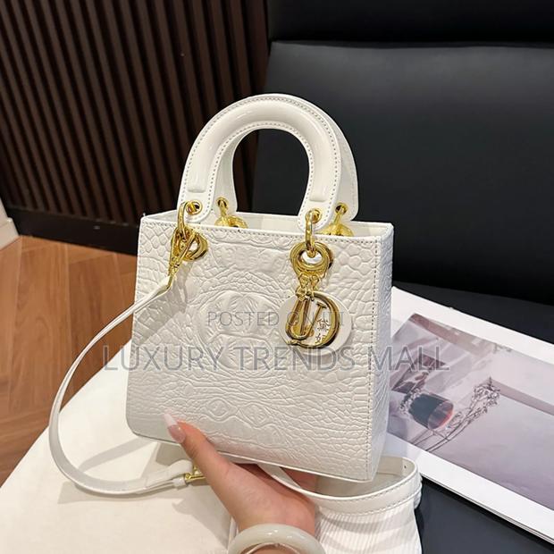 High Quality Dior-Inspired Luxury Handbag photo 9