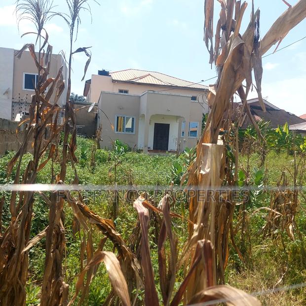 One Plot of Land for Sale at Community 17 · Photo 3