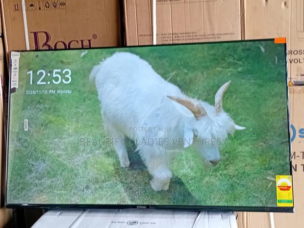 Breathtaking 55-Inch Smart Tv With Slim Frame and Powerful Tv · Photo 4