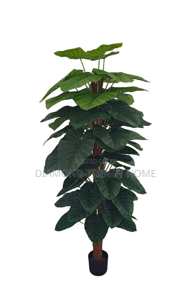 Artificial Plants photo 2