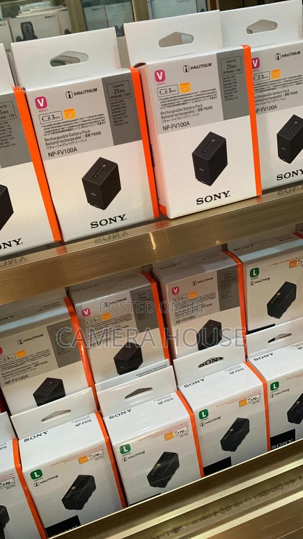 Sony Np-fv100 Battery · Photo 3