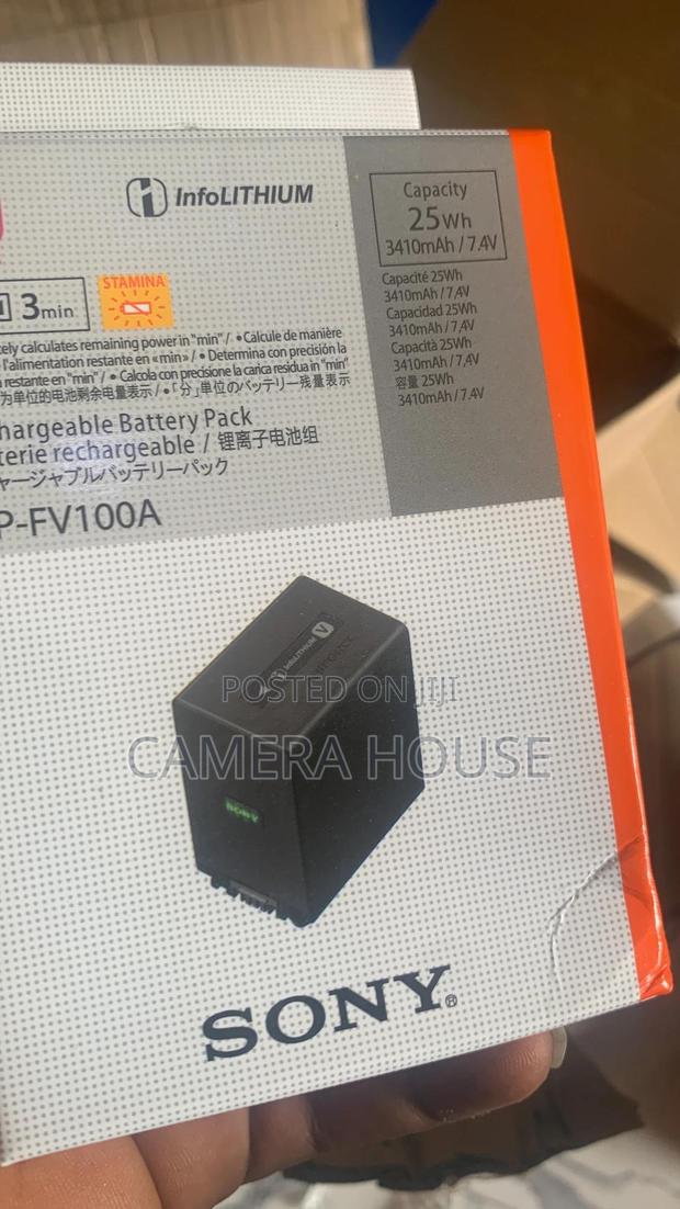 Sony Np-fv100 Battery · Photo 4