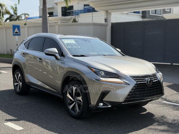Lexus NX 300 AWD 2021 Silver