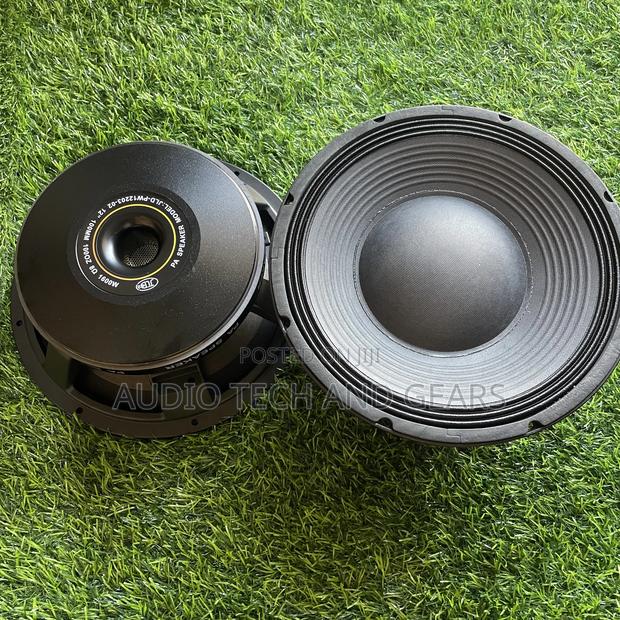 JLD 12 Inches 1600watts Double Magnet Naked Speaker · Photo 3