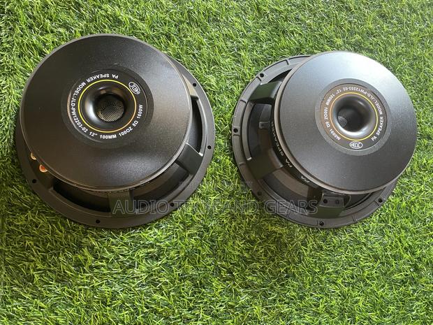JLD 12 Inches 1600watts Double Magnet Naked Speaker · Photo 4