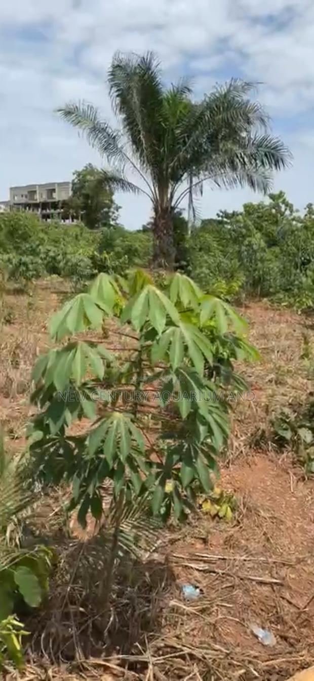 Land for Sale photo 3