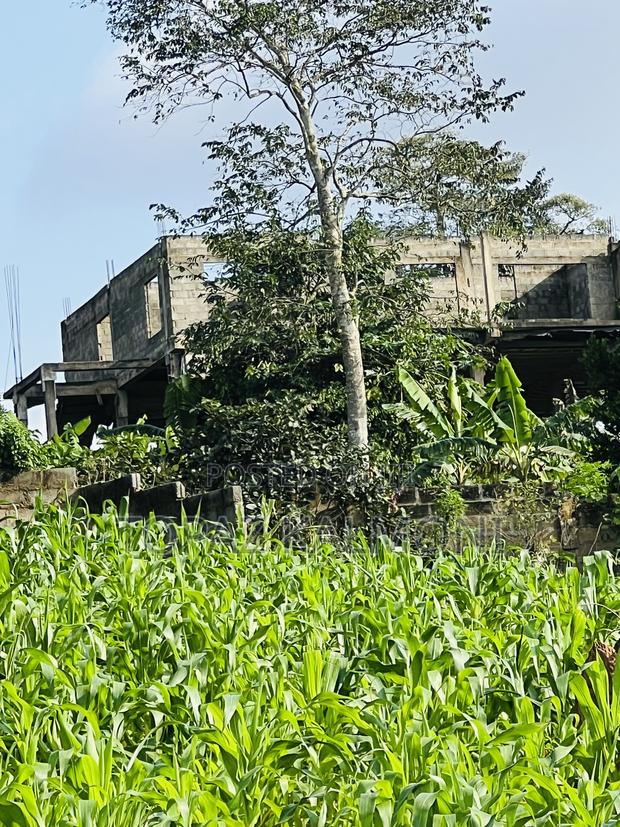 Genuine Fully Registered 2 Plots of Land for Sale at Aburi - Konkonru