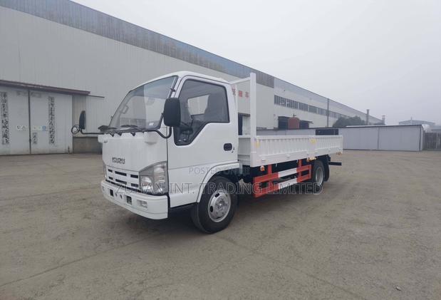 8 Tons Isuzu Cargo/Dump Truck From China photo 6