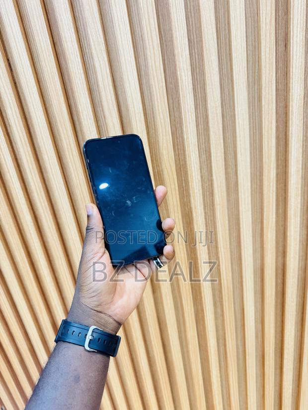 Apple iPhone 15 Pro Max 256 GB Black photo 6