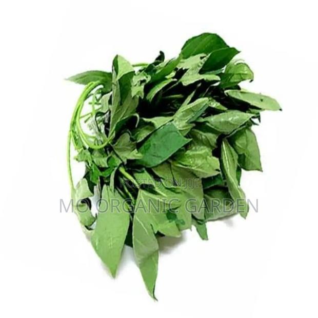 Organic Bitter Leaf 5kg