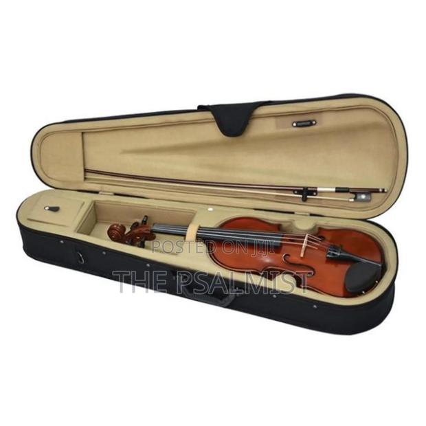 Enrico Student Plus Violin 4/4