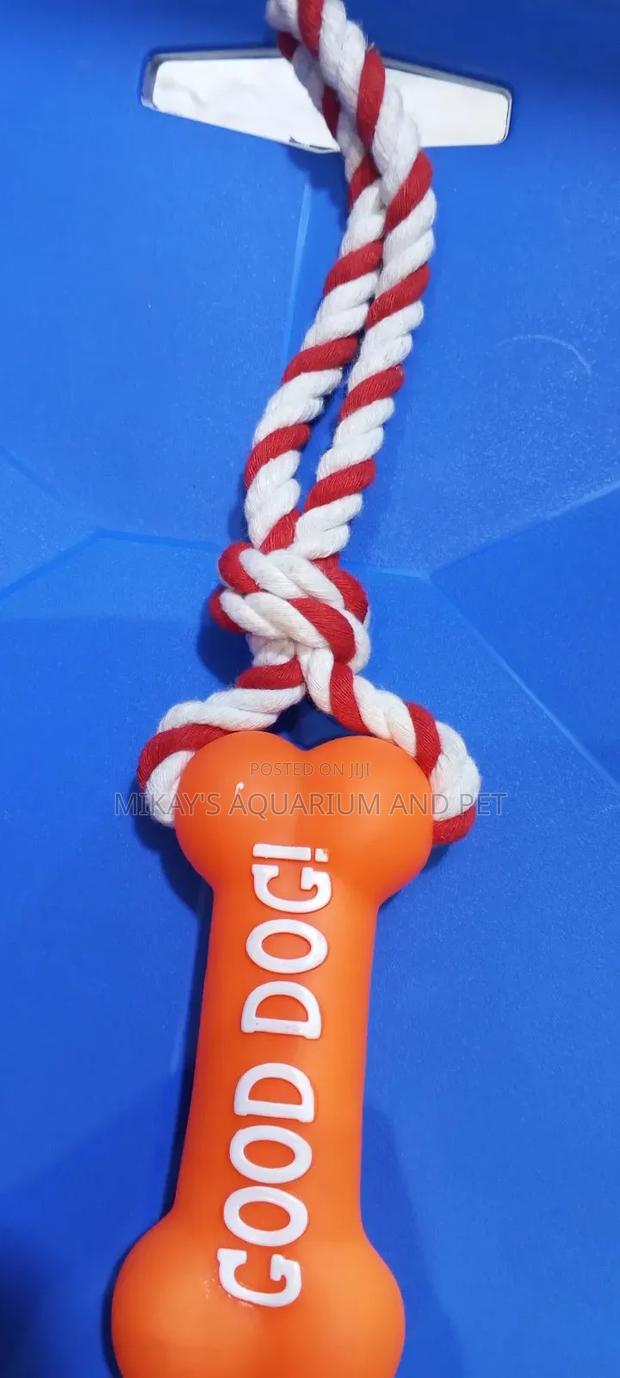 Dog Play Toy With Rope · Photo 4