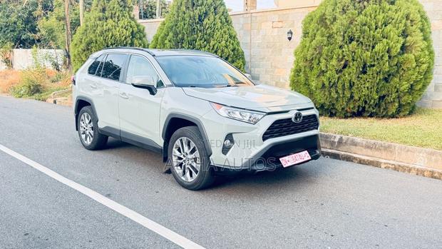 Toyota RAV4 XLE Premium AWD 2019 Gray