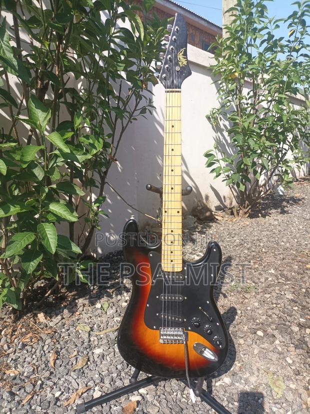 Telecaster Strat the Animal With a Padded Bag