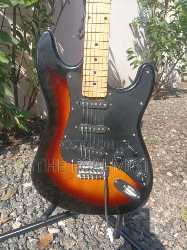 Telecaster Strat the Animal With a Padded Bag photo 2