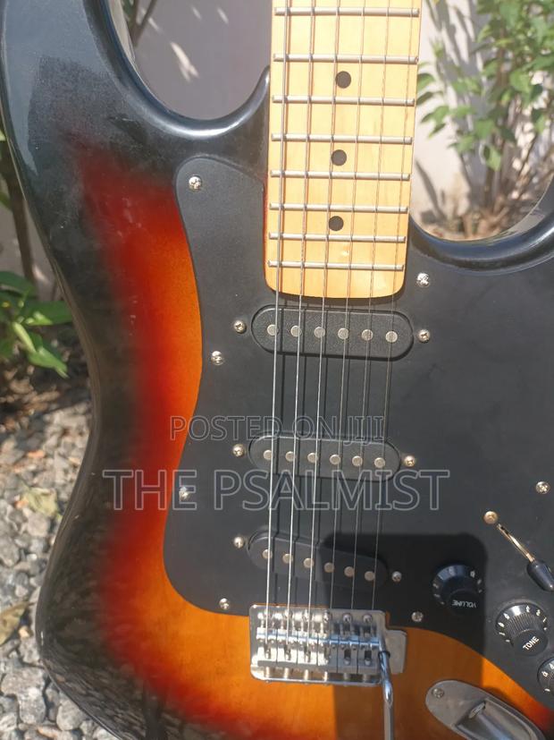 Telecaster Strat the Animal With a Padded Bag photo 3
