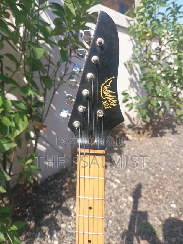 Telecaster Strat the Animal With a Padded Bag photo 4