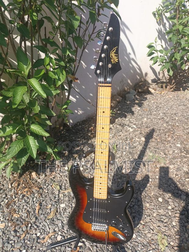 Telecaster Strat the Animal With a Padded Bag photo 5
