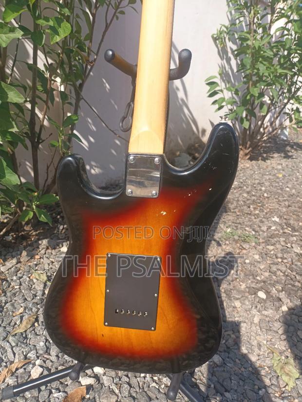 Telecaster Strat the Animal With a Padded Bag photo 6