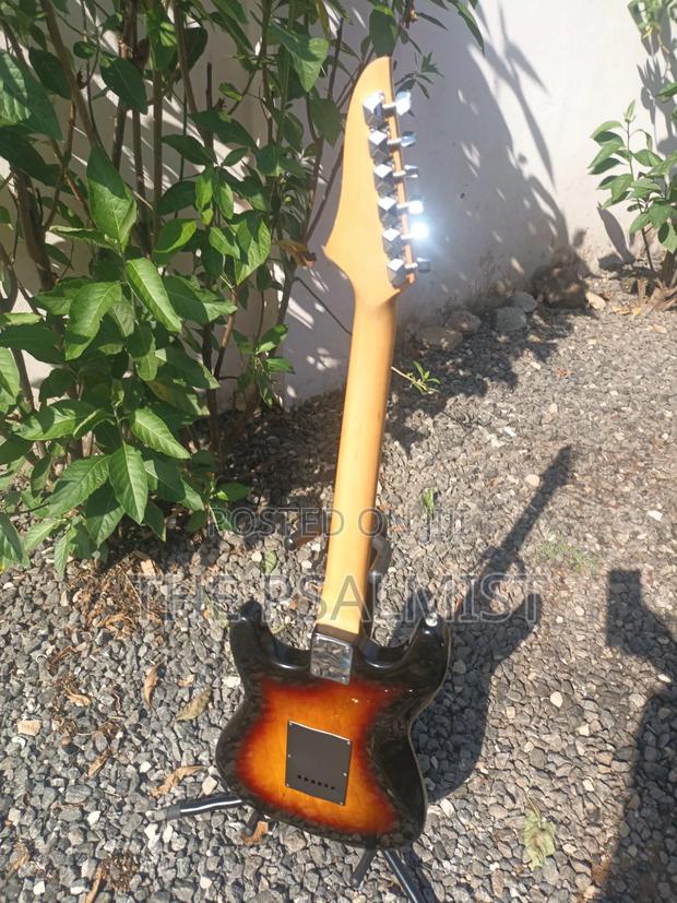 Telecaster Strat the Animal With a Padded Bag photo 7