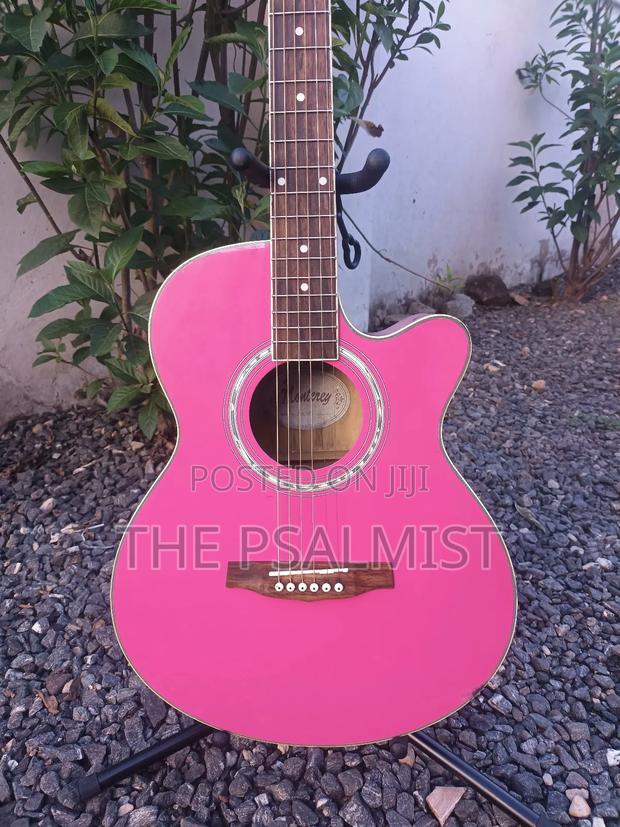 Monterey Ma 15pk Acoustic Guitar photo 2