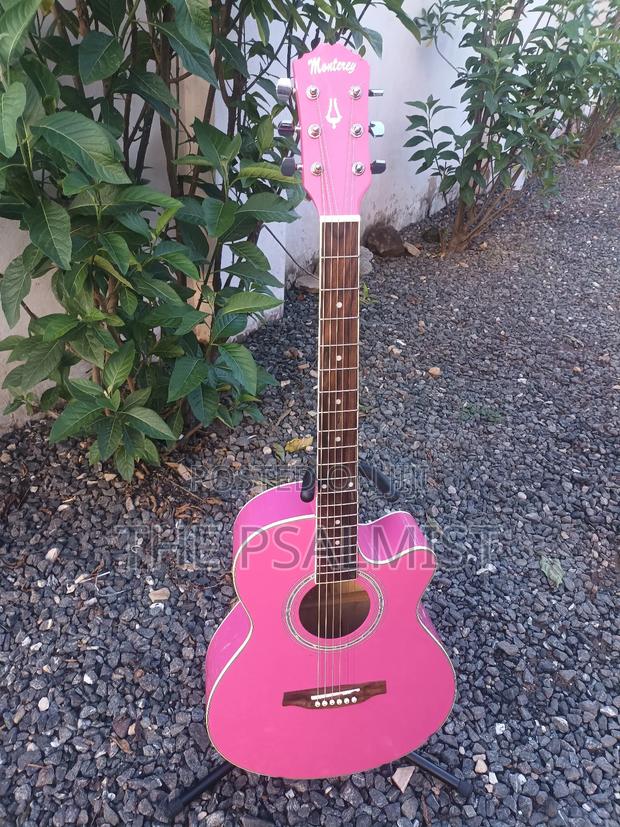 Monterey Ma 15pk Acoustic Guitar photo 4