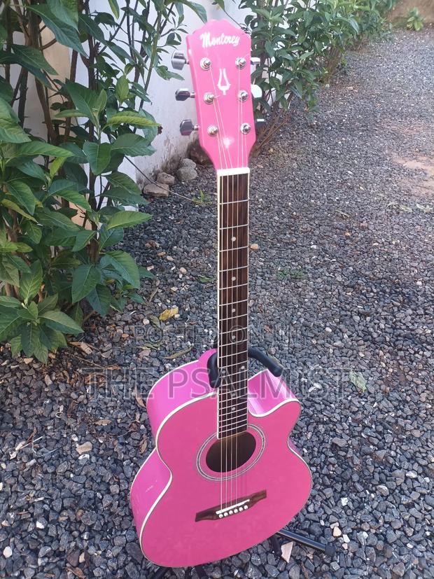 Monterey Ma 15pk Acoustic Guitar photo 6