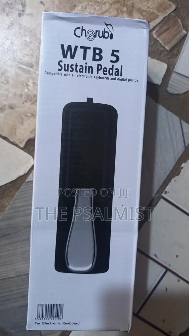 Cherub WTB 5 Sustain Pedal photo 2